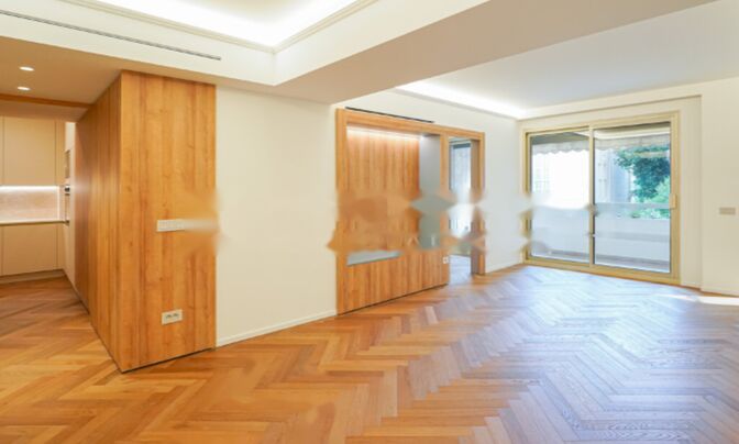 Apartment Monaco, Condamine