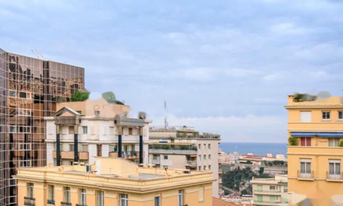 Apartment Monaco, Moneghetti