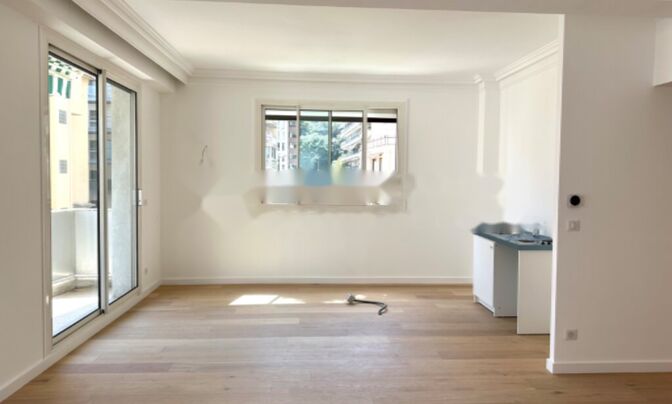 Apartment Monaco, Jardin Exotique