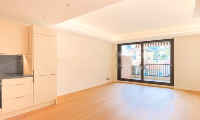 Apartment Monaco, La Rousse Saint Roman