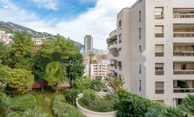 Apartment Monaco, Moneghetti