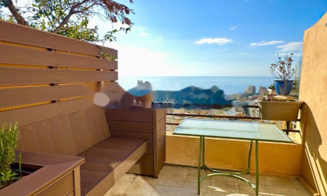 Apartment Monaco, Moneghetti