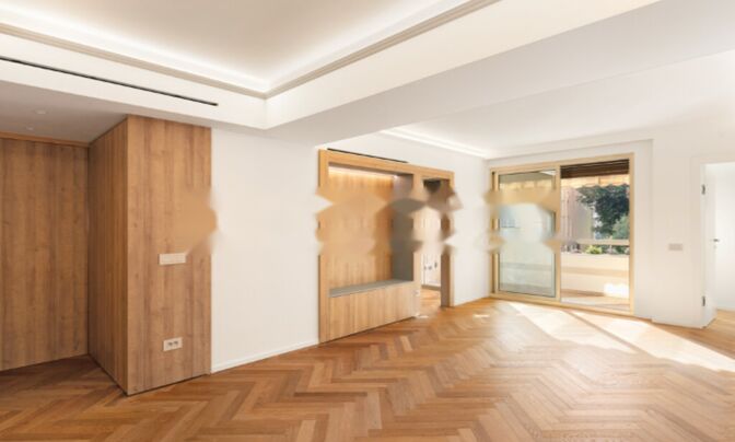 Apartment Monaco, Condamine