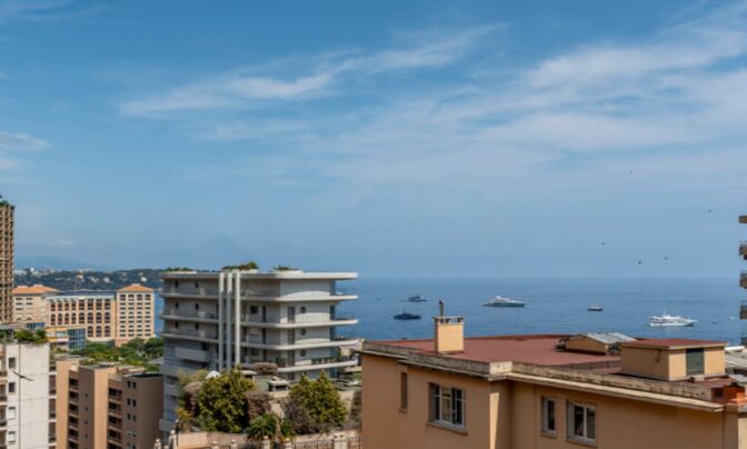 Apartment Monaco, La Rousse