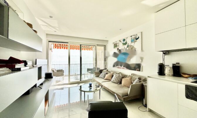 Apartment Monaco, La Rousse