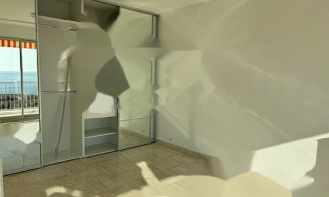 Apartment Monaco, La Rousse