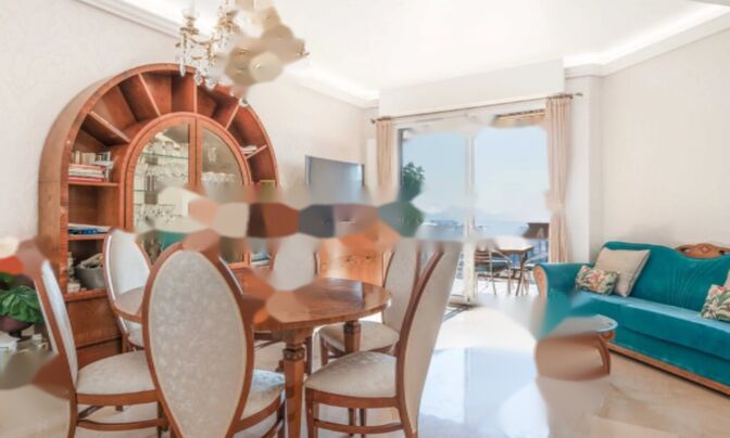 Apartment Monaco, Moneghetti