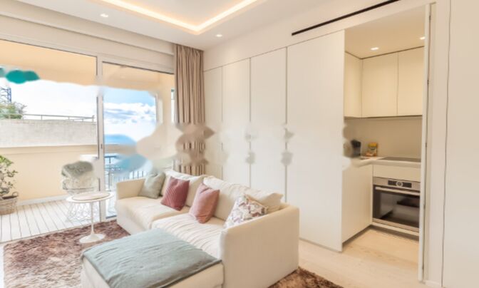 Apartment Monaco, La Rousse