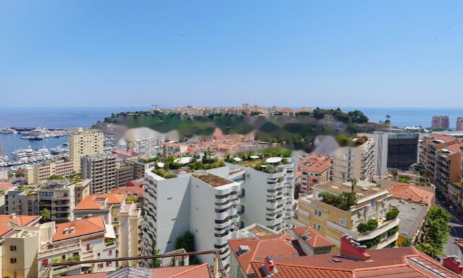 Apartment Monaco, Moneghetti