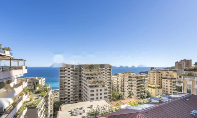 Apartment Monaco, La Rousse