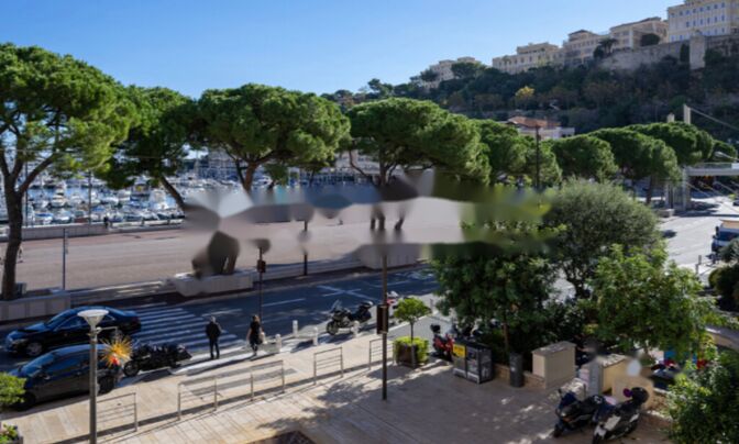 Apartment Monaco, Port