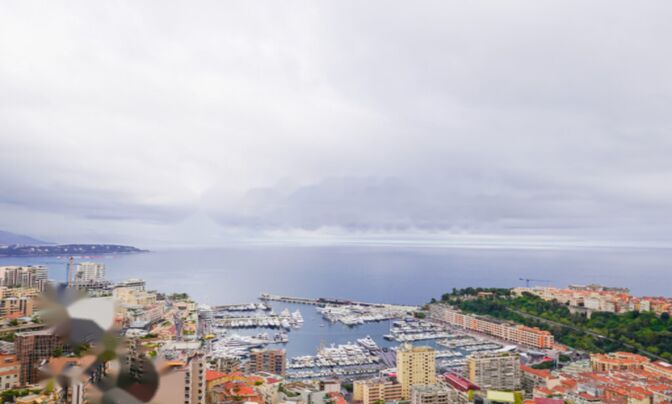 Apartment Monaco, Moneghetti