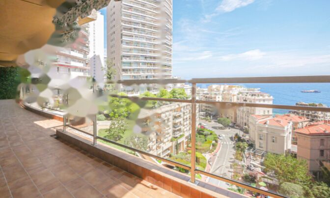 Apartment Monaco, La Rousse - Saint Roman