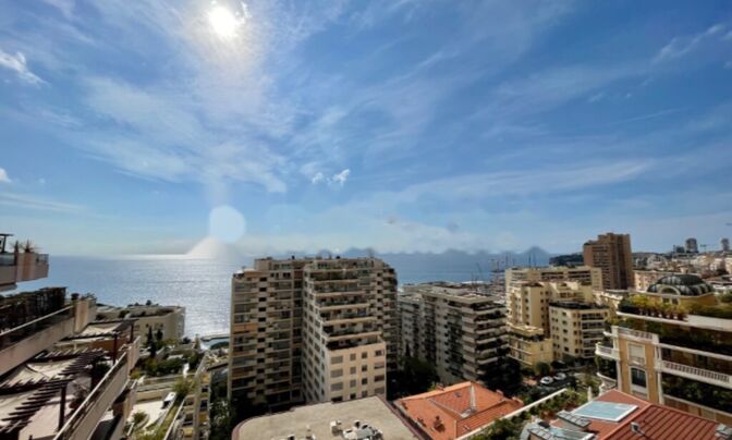 Apartment Monaco, La Rousse