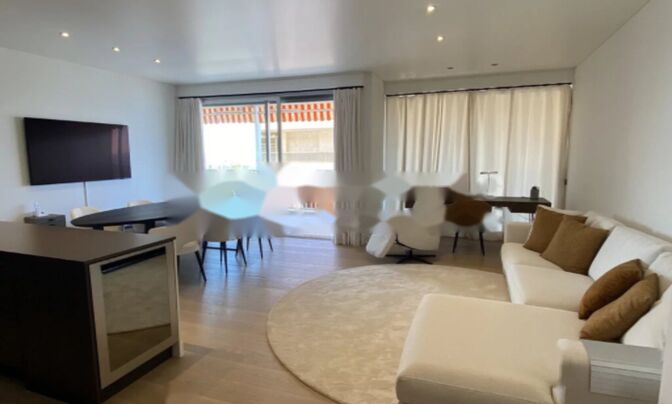 Apartment Monaco, La Rousse