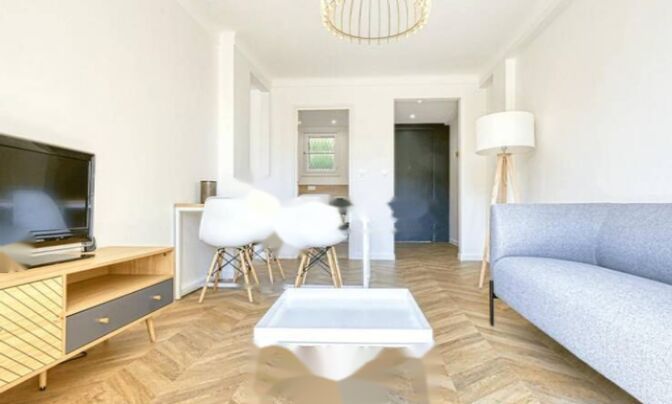 Apartment Cannes République