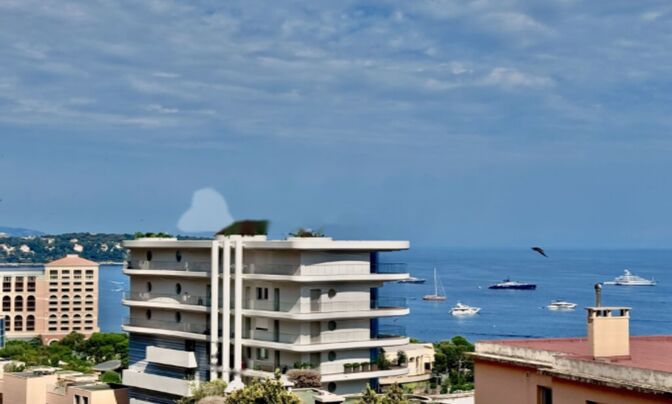 Apartment Monaco, La Rousse