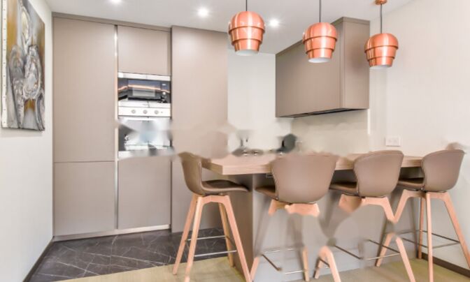 Apartment Monaco, La Rousse