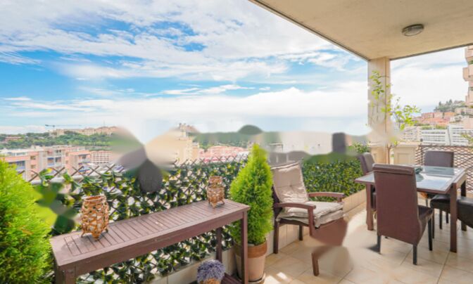 Apartment Monaco, Moneghetti