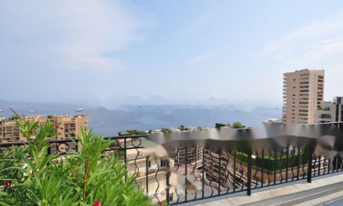 Apartment Monaco, Carre D'Or