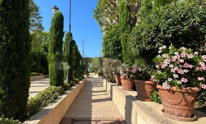 Apartment Monaco, Fontvieille