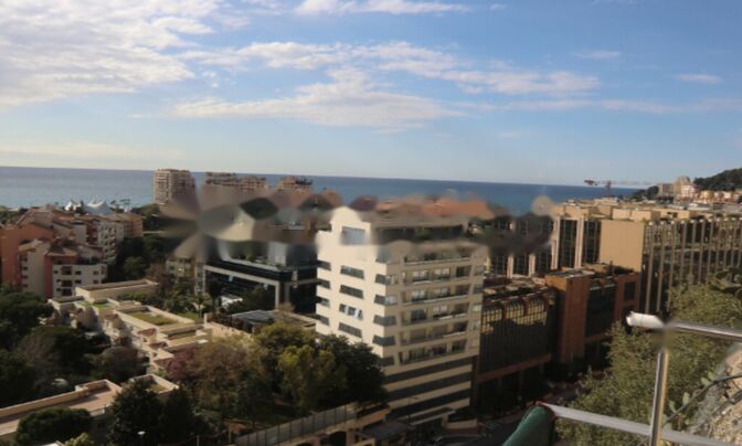 Apartment Monaco, Jardin Exotique