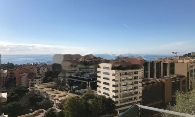 Apartment Monaco, Condamine