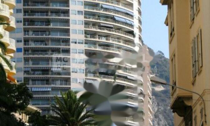 Apartment Monaco, La Rousse