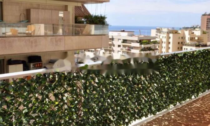 Apartment Monaco, La Rousse