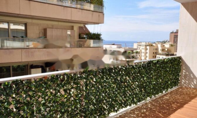 Apartment Monaco, La Rousse