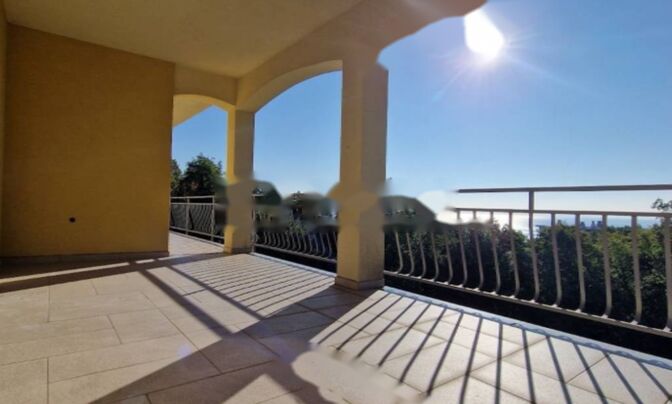 Дуплекс Побри, Опатия