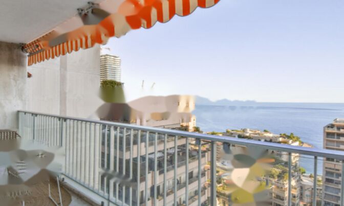 Apartment Monaco, La Rousse