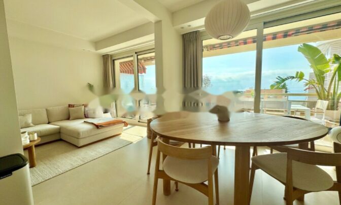 Apartment Monaco, La Rousse