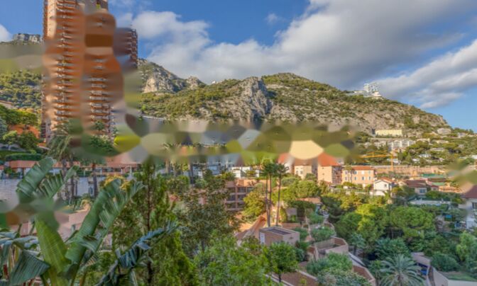 Apartment Monaco, La Rousse