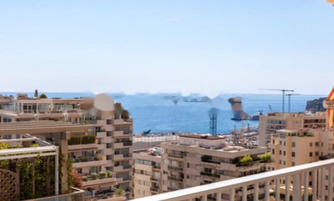 Apartment Monaco, La Rousse