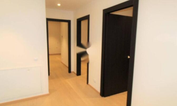 Четырехкомнатная квартира в центре Опатии