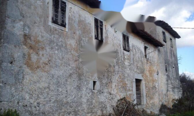 Семейный дом Поляне, Опатия