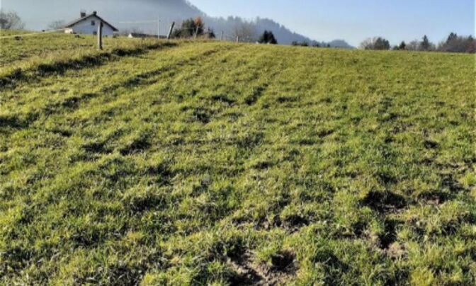 Инвестиционный участок в Верхней Гамельне