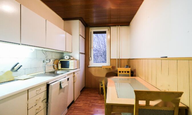 Квартира 2,5 комнаты Новая Лубляна Шишка