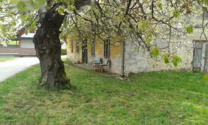 Имение и усадьба Тополё, Текачево.