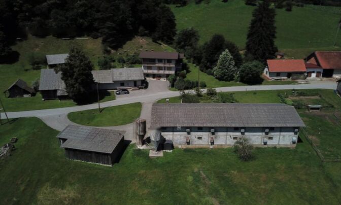 Усадьба, ферма Видем при Птуе.