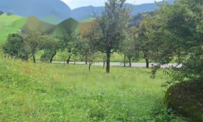 Имение, ферма Воловле