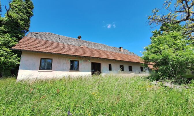 Поместье, ферма Забуковье.