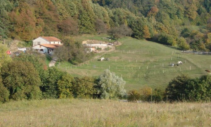 Усадьба Кметияново Сеножеце с конюшней