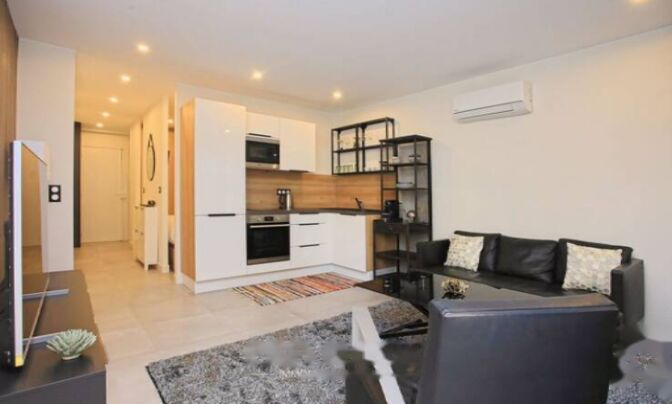 Apartment Cannes