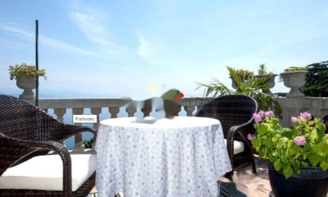 Четырехкомнатная квартира в центре Опатии