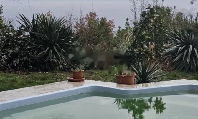 Квартира Оприч, Опатия