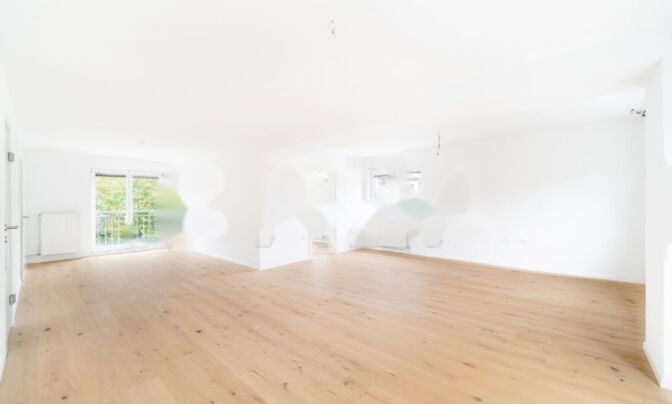 Квартира, 4 комнаты, Новая Шишка