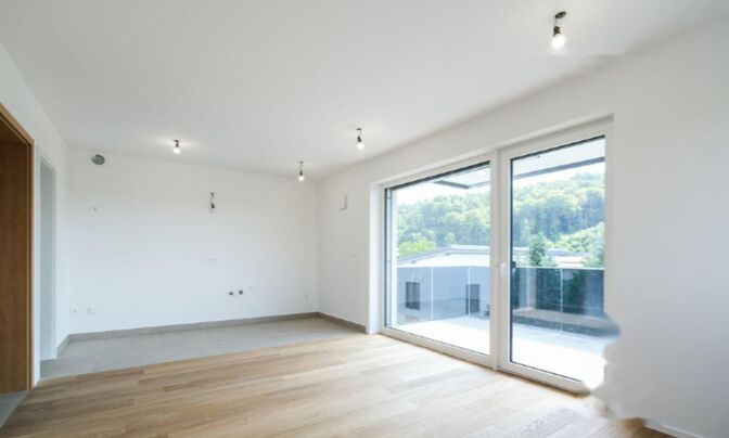 Трёхкомнатная квартира Бежиград