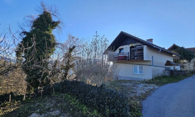 Дом, Плазовье